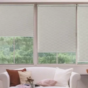 Types and Features of Roller Blinds shop