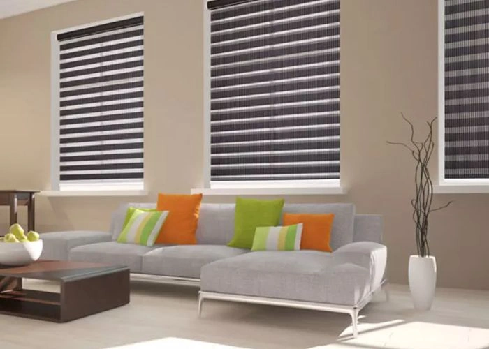 Sheer zebra blinds