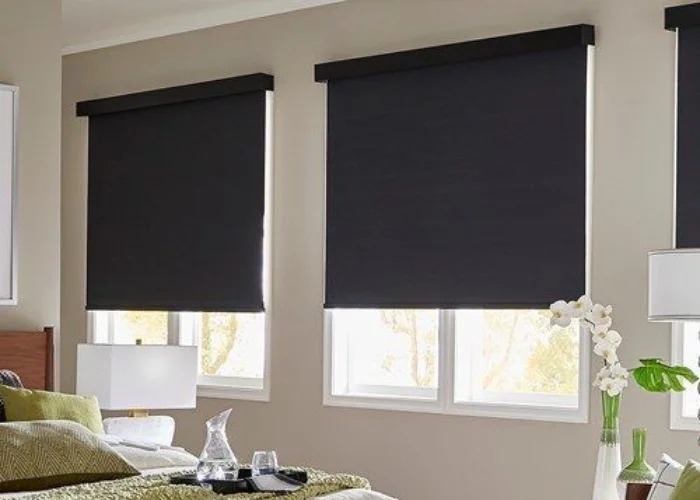 blackout zebra blinds Dubai
